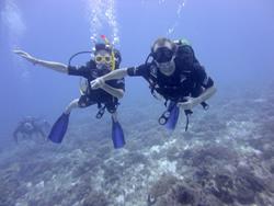 Zanzibar Scuba Diving Holiday. Learn to dive courses.